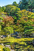 Colorful reflection Ginkaku-ji Temple, Kyoto, Japan. Also known as Jisho-ji.