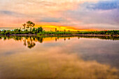 Sepik River, Papua New Guinea. Jungle trees along sandy bank reflected in the river at sunset.