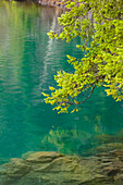 Nebel über dem Wald oberhalb des Lake Crescent, Olympic National Park, Washington State, USA.