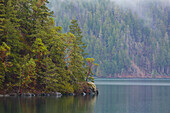Nebel über dem Wald oberhalb des Lake Crescent, Olympic National Park, Washington State, USA.