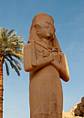 Africa, Egypt, Luxor. Close view of a statue in the Valley of the Kings at sunrise.