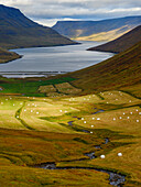Iceland. Landscape in Botnsdalur and Sugandafjordur during autumn.