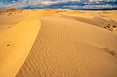 USA, California, Imperial Sand Dunes Recreation Area. Sand dune ripples.