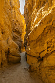 USA, California, Anza Borrego Desert State Park. Slot canyon scenic.