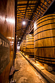 Oak vats and barrels, Real Companhia Velha winery and cellars, Gaia, Porto, Portugal. (Editorial Use Only)
