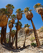 Mecca Badlands, California