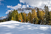 Alta Badia, Bolzano province, South Tyrol, Italy, Europe. Hikers on the Armentara meadows, above the mountains of the Neuner, Zehner and Heiligkreuzkofel