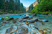 Fluss Sarca im Genova-Tal, unberührter Bergfluss, der durch die Wälder des Adamello-Brenta-Parks fließt. Provinz Trient, Region Trentino-Südtirol, Italien.