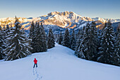 Luftaufnahme eines Wanderers, der das Presolana-Massiv während eines Wintersonnenaufgangs vom Monte Pora, Val Seriana, Bezirk Bergamo, Lombardei, Italien, bewundert.