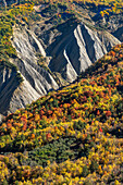 Die Calanchi di Anversa degli Abruzzi, umgeben von herbstlicher Vegetation. Anversa degli Abruzzi, Abruzzen, Italien, Europa