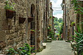 Charakteristische Gasse zwischen hohen Tuffsteinhäusern, die das Tal des antiken Dorfes Pitigliano überragt. Pitigliano, Provinz Grosseto, Toskana, Italien, Europa