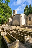 Church of St-Honorat, Avenue of the Sarcophagi, UNESCO, Alyscamps, Arles, Bouches du Rhone, Camargue, Provence-Alpes-Cote d'Azur, France