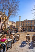 Meager flower market, Aix-en-Provence, Bouches du Rhone, Provence-Alpes-Cote d'Azur, France