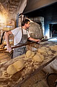 Altamura Bread, bakery interior, Altamura, Bari, Apulia, Italy