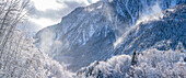 View of snow covered trees, mountains from Dolonne in winter, Courmayeur, Aosta Valley, Italian Alps, Italy
