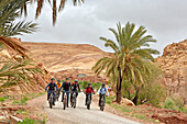 Riders on mountain bike with electric assistance, Ounila River valley, Ouarzazate Province, region of Draa-Tafilalet, Morocco