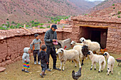 Father and children, with sheep, in yard of house tied to their work, Tighza, Ounila River valley, Ouarzazate Province, Draa-Tafilalet region, Morocco