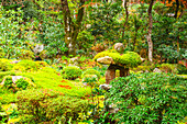 A lush moss garden with intricate landscaping and stone features, Shuheki-en Garden, Ohara, Kyoto, Honshu, Japan