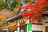 Goldene Laternen unter dem Tempeldach, leuchtend vor dem Hintergrund von Holzbalken, buddhistischer Zen-Tempel, Mount Hiei, Region Kyoto, Honshu, Japan