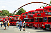 Routemaster buses parade at the 70th anniversary of the first Routemaster bus, RM1, London, England, United Kingdom