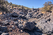 Basaltfelsen und Klippen in einem Abschnitt des Johnson Canyon auf halbem Weg zwischen dem Bainbridge Steel Dam und dem Stone Dam in der Nähe von Ash Fork Arizona im Kaibab National Forest.