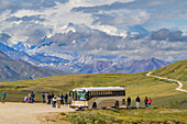 Fahrt im Bus entlang der 92 Meilen langen Straße in den Denali-Nationalpark, Alaska, Vereinigte Staaten von Amerika