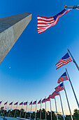 American flags surrounding the Washington Monument in Washington, D.C., United States of America