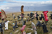 View of the famous Boot Hill outside Stanley, the capital and only city in the Falkland Islands