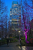 Winterlichter in Canary Wharf, Docklands, London, England, Vereinigtes Königreich