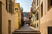 Charming street of Athens city, Greece