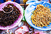 Frittierte Insekten und Grillen, eine Delikatesse auf einem Markt in Nordthailand, Thailand