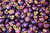Fresh organic mangosteen on the market, Thailand