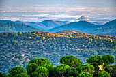 A scenic view of verdant hills and Almodovar Castle in picturesque Andalusia, Spain.