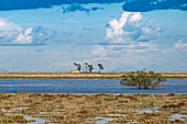 An abandoned farmhouse is seen on dry land near the Brazo de la Torre, surrounded by waterways of the Guadalquivir in Andalusia.