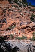 Junge kaukasische Frau auf dem Canyon Overlook Trail im Zion National Park, Utah