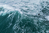 Aerial drone view of Big wave surfing in Praia do Norte (North Beach), listed on the Guinness World Records for the biggest waves ever surfed, formed under the influence of the Nazare Canyon, Portugal