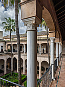 Discover the elegant columns and lush courtyard of Palacio de los Marqueses de la Algaba, a stunning Renaissance gem in Seville.