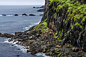 Puffins fratercula artica and birds nesting in the cliffs of Skalanes, Seydisfjordur Iceland.