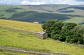 Field on a Hill Landscape in Yorkshire , England