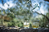 Pair of glasses with pastis and ice on stone under olive branches in summer setting.