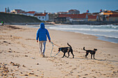 Woman walking with her playing dogs on the beach of Peniche, Portugal