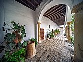 Visitors enjoy the serene ambiance amidst lush plants and traditional tiles at Patio del Palacio de Viana in Cordoba, Andalusia.