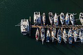 Aerial view of Port and Marina of Nazare, Portugal