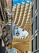 Tauben fliegen in den Himmel, wenn sich Las Setas über der Straße Puente y Pellón in Sevilla erhebt und eine faszinierende Mischung aus Architektur und Natur schafft.