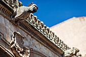 Gargoyle-Ornament an der Fassade der Casa de las Conchas in Salamanca, Spanien.