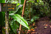 Hängebrücke im Naturpark des Regenwaldes Hängebrücke im Naturpark des Regenwaldes, Costa Rica