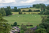 Feld auf einem Hügel in der Landschaft von Yorkshire, England
