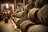 Sherry casks are lined up in a traditional winery in Sanlucar de Barrameda, showcasing the heritage of Andalusia's wine production.