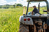 Landarbeiter auf einem Traktor auf einer Ananasfarm in Santa Rita, Panama