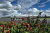 Air Niugini plane in Mount Hagen Airport, Highlands region, Papua New Guinea